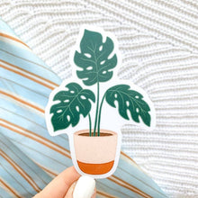 Load image into Gallery viewer, Plant Sticker Pack (3-Pack)
